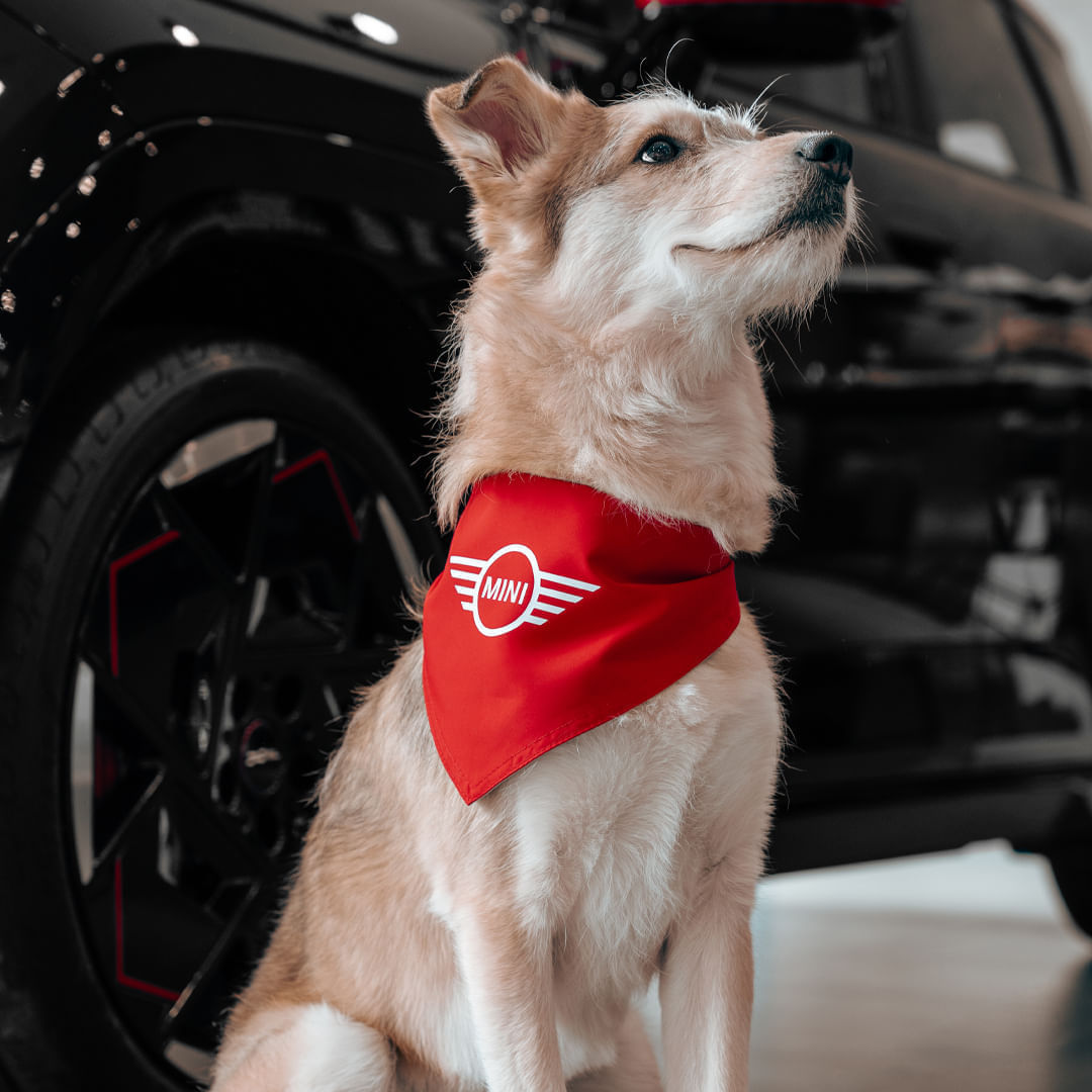 PAÑOLETA PET'S MINI-ROJO